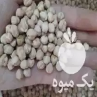 قیمت خرید نخود درجه یک در ازنا در گروه خرید و فروش غلات و حبوبات در یکمیوه