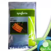 بذر هویج دوردوگنه سینجنتا توزیع عمده در تبریز در گروه خرید و فروش بذر هویج در یکمیوه