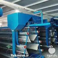 خرید آبخوری اتوماتیک مرغ و دانخوری در مشهد در گروه تجهیزات مرغداری در یکمیوه