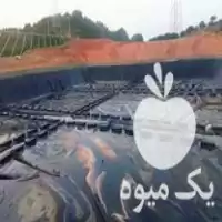 قیمت خرید ژئوممبران PVC در تهران در گروه خرید و فروش ژئوممبران و ژئوتکستایل در یکمیوه
