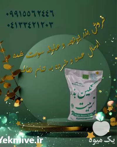 فروش بذر یونجه پایه بلند در گروه خرید و فروش بذر یونجه در یکمیوه -عکس1