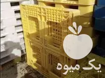 قیمت خرید پالت پلاستیکی در حد در تهران در گروه خرید و فروش پالت در یکمیوه -عکس1