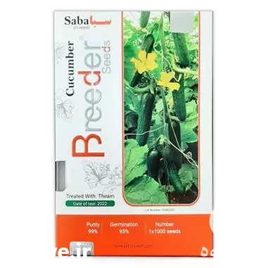 عرضه فروش بذر خیار گلخانه ای در تهران در گروه خرید و فروش بذر خیار در یکمیوه -عکس1