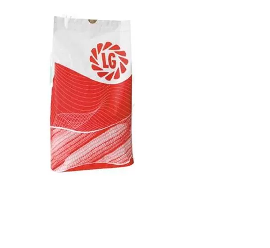 قیمت خرید بذر ذرت دانه ای در ارومیه در گروه خرید و فروش بذر ذرت در یکمیوه -عکس1