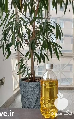 قیمت خرید روغن سویا جهت سموم در تهران در گروه خرید و فروش انواع روغن در یکمیوه -عکس1