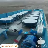 فروش تجهیزات پرورش ماهی در کرج در گروه خرید و فروش تجهیزات ماهی در یکمیوه