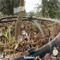 قیمت خرید آبیاری قطره ای لوازم در ساری در گروه خرید و فروش دستگاه آبیاری در یکمیوه