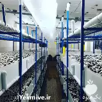قیمت خرید آموزش تخصصی پرورش قارچ در گروه دوره آموزش کشاورزی در یکمیوه