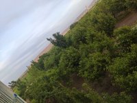 اجاره ی باغ میوه