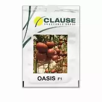 قیمت خرید عرضه بذر گوجه فرنگی در گروه خرید و فروش بذر گوجه در یکمیوه