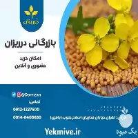 فروش دانه خردل در تهران در گروه خرید و فروش ادویه در یکمیوه