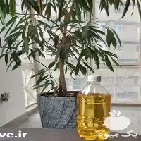 قیمت خرید روغن سویا جهت سموم در تهران در گروه خرید و فروش انواع روغن در یکمیوه