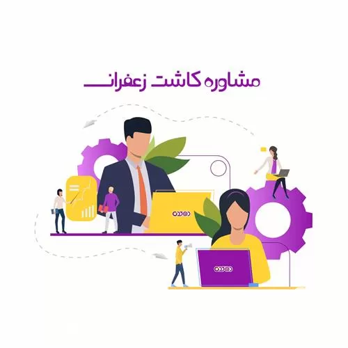 فروش آموزش و مشاوره رایگان کاشت زعفران در کرج در گروه دوره آموزش کشاورزی در یکمیوه -عکس1