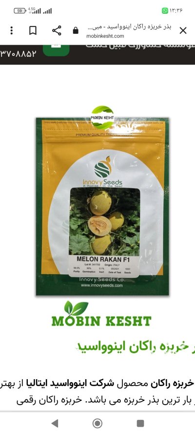 بذر خربزه جسیکا رقم راک پربار و بدون در مرودشت در گروه خرید و فروش بذر خربزه در یکمیوه -عکس1