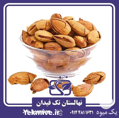خرید و قیمت نهال بادام شکوفه در گروه خرید و فروش نهال بادام در یکمیوه -عکس1