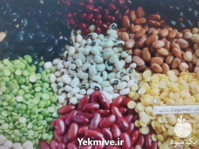 فروش خریدار عمده حبوبات لوبیا قرمز در تهران در گروه خرید و فروش غلات و حبوبات در یکمیوه -عکس1