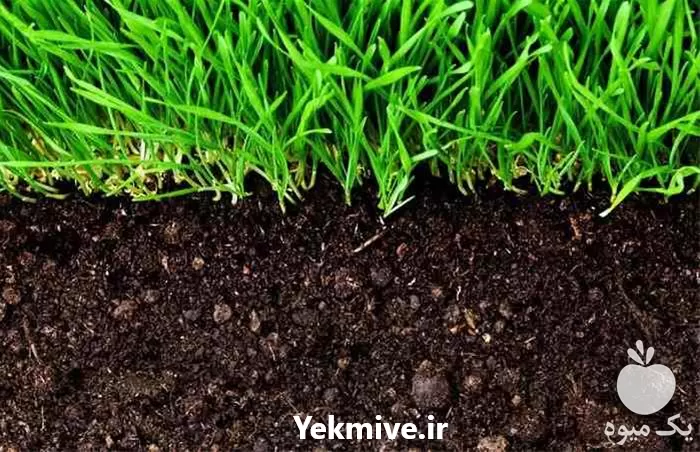 قیمت خرید ارسال خاک باغچه در گروه انواع محصولات خاک و تغذیه در یکمیوه -عکس1