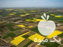 نیازمند شریک سرمایه گذار احداث گلخانه در گروه نیازمند شراکت در محصولات کشاورزی در یکمیوه -عکس1