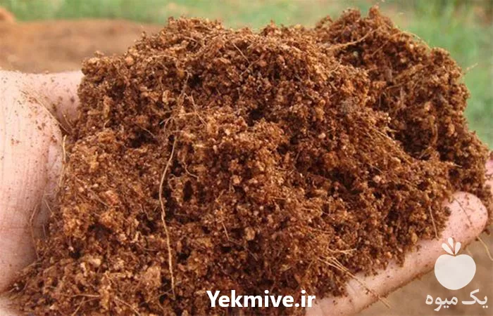 کوکوپیت مدیوم فروش کوکوپیت در تهران در گروه خرید و فروش انواع کود کشاورزی در یکمیوه -عکس1