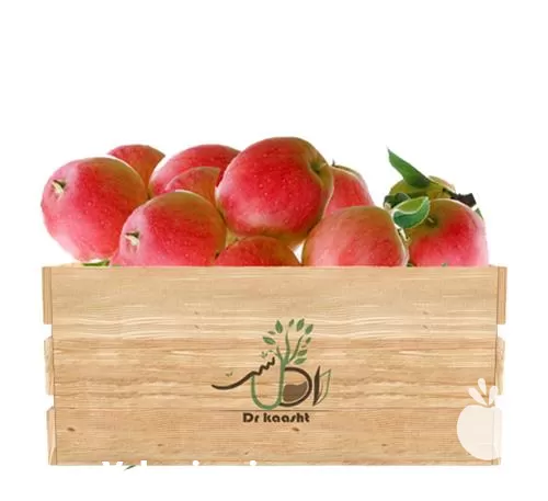 فروش عمده نهال سیب عروس در کرج در گروه خرید و فروش نهال میوه در یکمیوه -عکس1