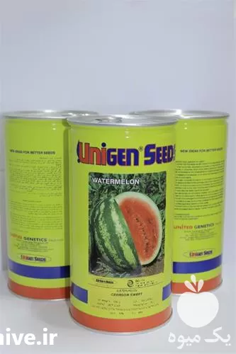 فروش بذر هندوانه یونی ژن در گروه خرید و فروش بذر هندوانه در یکمیوه -عکس1