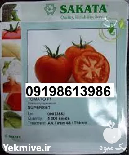 فروش بذر گوجه ساکاتا در تهران در گروه خرید و فروش بذر گوجه در یکمیوه -عکس1