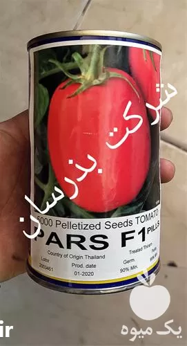 قیمت خرید قیمت بذر گوجه فرنگی در تهران در گروه خرید و فروش بذر گوجه در یکمیوه -عکس1