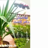 فروش عمده گیاه یوکا معمولی در گروه خرید و فروش گیاهان زینتی در یکمیوه