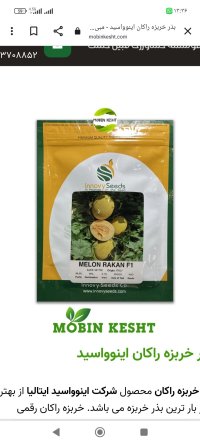 بذر خربزه جسیکا رقم راک پربار و بدون در مرودشت در گروه خرید و فروش بذر خربزه در یکمیوه
