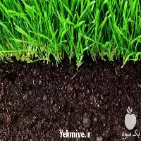 قیمت خرید ارسال خاک باغچه در گروه انواع محصولات خاک و تغذیه در یکمیوه