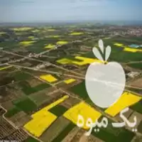 نیازمند شریک سرمایه گذار احداث گلخانه در گروه نیازمند شراکت در محصولات کشاورزی در یکمیوه