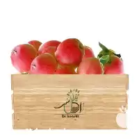 فروش عمده نهال سیب عروس در کرج در گروه خرید و فروش نهال میوه در یکمیوه