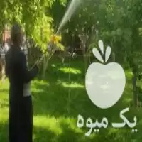 انجام کارهای باغبانی سمپاشی هرس گیاهان در تهران در گروه خدمات باغبانی در یکمیوه