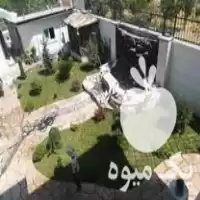 سمپاشی کاشت گیاهان زینتی در نوشهر در گروه سازنده در یکمیوه