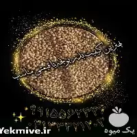 قیمت خرید بذر یونجه بذر علوفه در اصفهان در گروه خرید و فروش بذر یونجه در یکمیوه