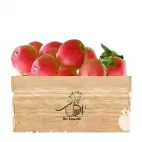 فروش عمده نهال سیب عروس در قم در گروه خرید و فروش نهال میوه در یکمیوه