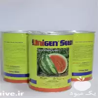 فروش بذر هندوانه یونی ژن در گروه خرید و فروش بذر هندوانه در یکمیوه