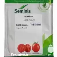 بذر گوجه فرنگی برنتا پرفروش اصل در گروه خرید و فروش بذر گوجه در یکمیوه