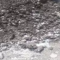 فروش کود مرغی در گروه خرید و فروش کود مرغی در یکمیوه