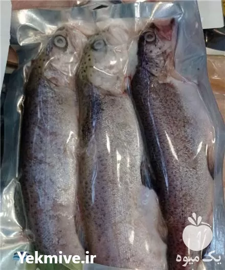 فروش ماهی قزل الا سالمون بسته در گروه خرید و فروش انواع ماهی در یکمیوه -عکس1