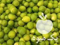 قیمت خرید لیمو ترش رودان در بار  در گروه خرید و فروش لیمو ترش در یکمیوه -عکس1