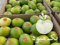 قیمت خرید لیمو ترش محلی در گروه خرید و فروش لیمو ترش در یکمیوه -عکس1