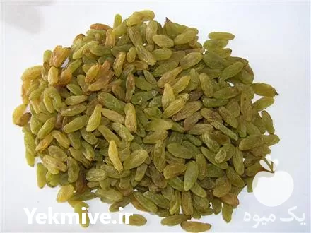 فروش کشمش سبز در کاشمر در گروه خرید و فروش آجیل در یکمیوه -عکس1