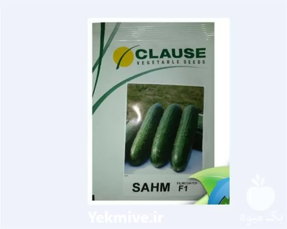 فروش بذر خیار گلخانه ای مونزا در ارومیه در گروه خرید و فروش بذر خیار در یکمیوه -عکس1