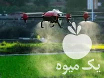 سمپاشی با پهپاد در بهمن در گروه خدمات باغبانی در یکمیوه -عکس1