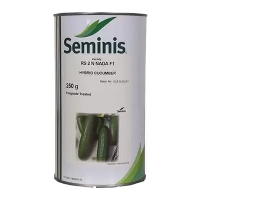 قیمت خرید توزیع بذر خیار رویال در اهواز در گروه خرید و فروش بذر خیار در یکمیوه -عکس1