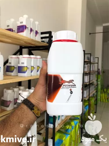 قیمت خرید ویژه سولفات پتاسیم در ارومیه در گروه خرید و فروش کود سولفات در یکمیوه -عکس1