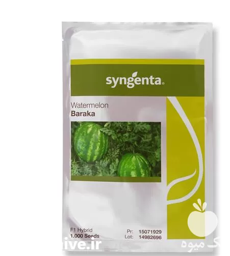 قیمت خرید بذر هندوانه زود رس در گروه خرید و فروش بذر هندوانه در یکمیوه -عکس1