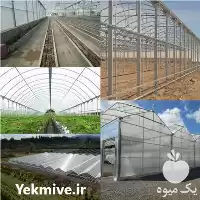 اجرای گلخانه مدرن طراحی در گروه سازنده در یکمیوه