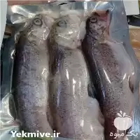 فروش ماهی قزل الا سالمون بسته در گروه خرید و فروش انواع ماهی در یکمیوه
